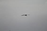 IMG_0557