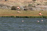 IMG_0962