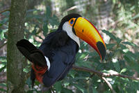 IMG_8057