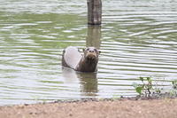 IMG_7670