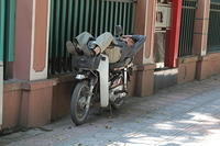 Street Life