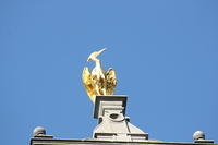IMG_6390