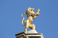 IMG_6407