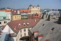 IMG_7683