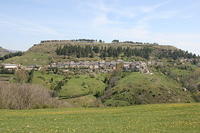 IMG_2796