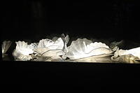 IMG 9402