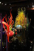 IMG 9419