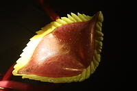 IMG 9431