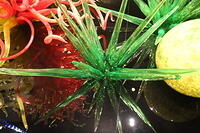 IMG 9439