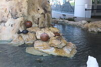 IMG 9445