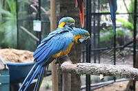 IMG 9453