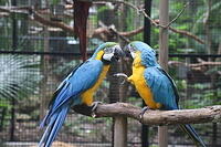 IMG 9456