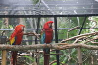 IMG 9458