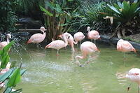 IMG 9459