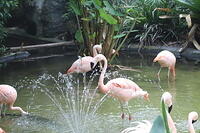 IMG 9461