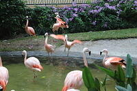 IMG 9464
