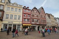 IMG 3181