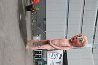 IMG 8887