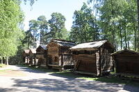 IMG 8858