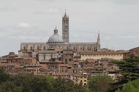 Siena