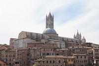 IMG_9198