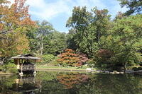 IMG 7708