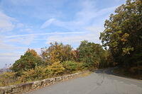 IMG 7714