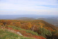 IMG 7716