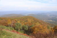 IMG 7717