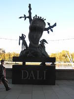 P1010007