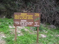 P1010015