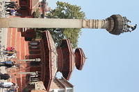 IMG_8658