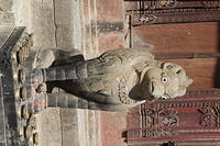 IMG_8682