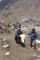 IMG_8252