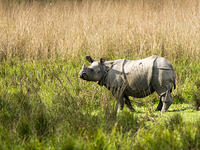 IMG_8349