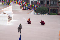 IMG_8761