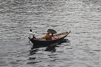 IMG_7469