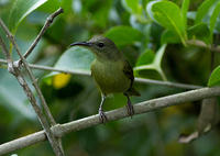 IMG_7554