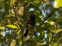 IMG_7569