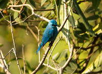 IMG_8046