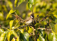 IMG_8049