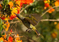 IMG_8120