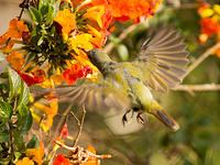 IMG_8121