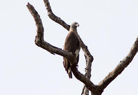 IMG_8325