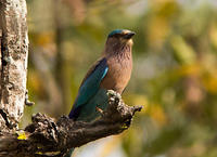 IMG_8341