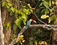 IMG_8440