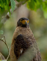 IMG_8457