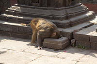 IMG_8579