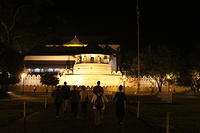 IMG_3560