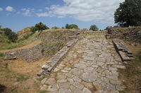 IMG_1685